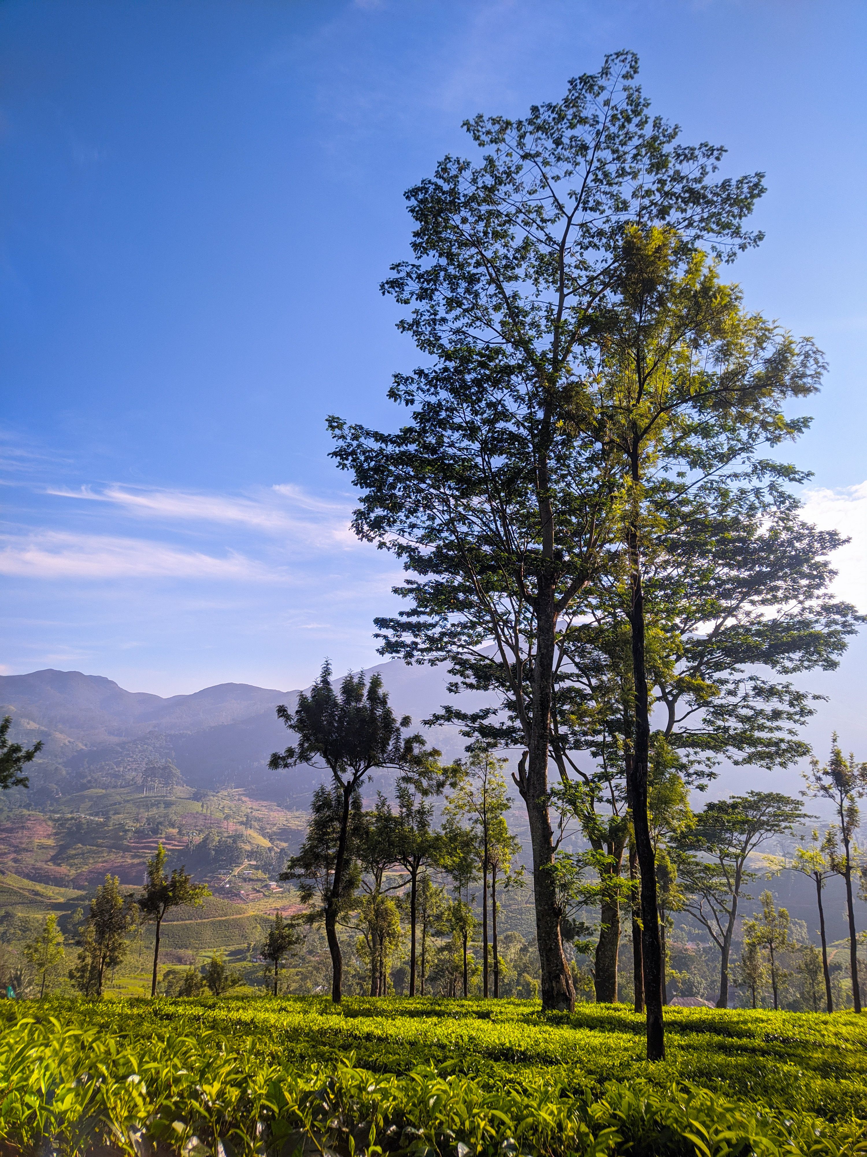 Nature, Adventure & Highland Escapes