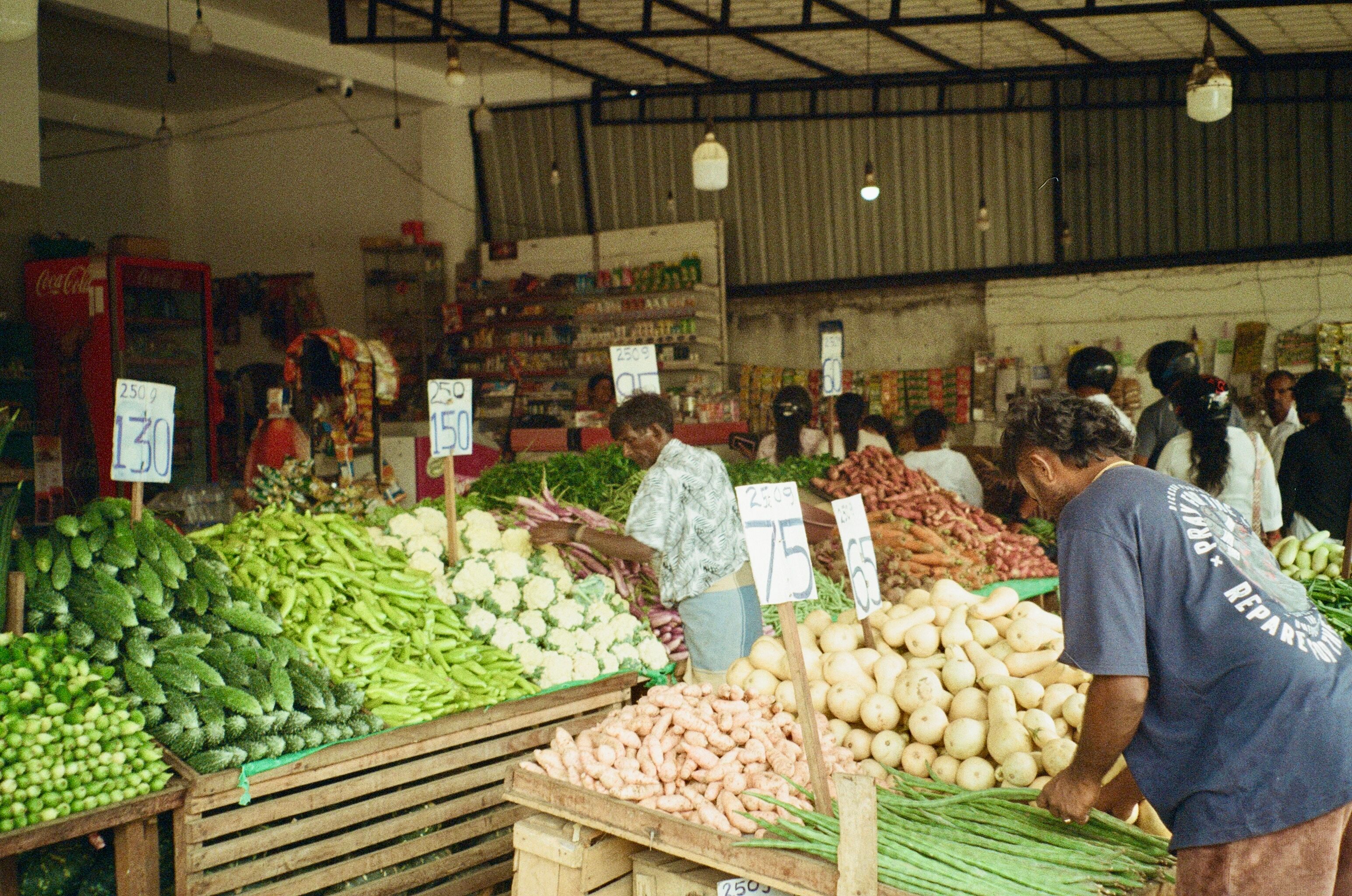 Discover Dambulla Market