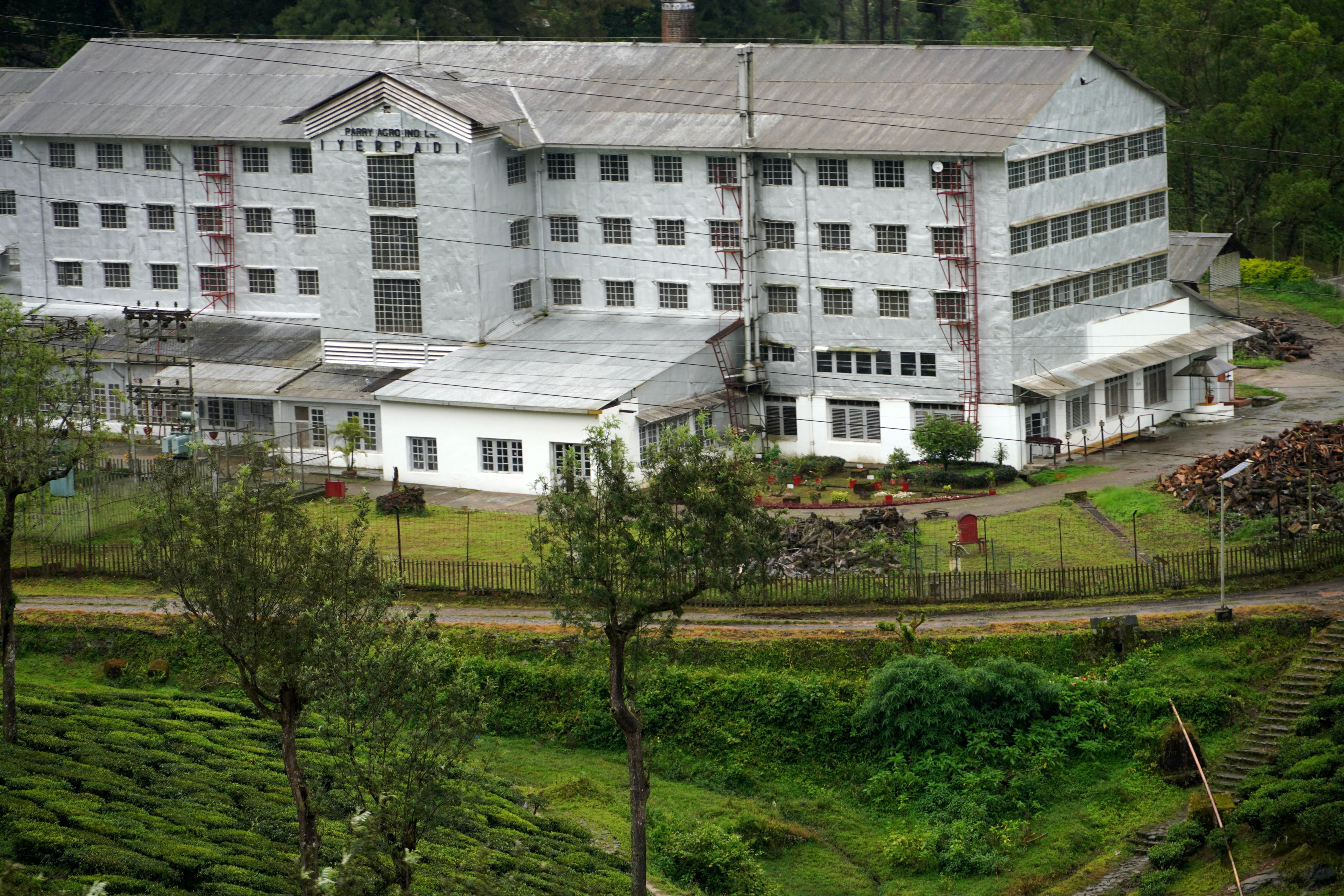 Life in Sri Lanka’s Tea Country