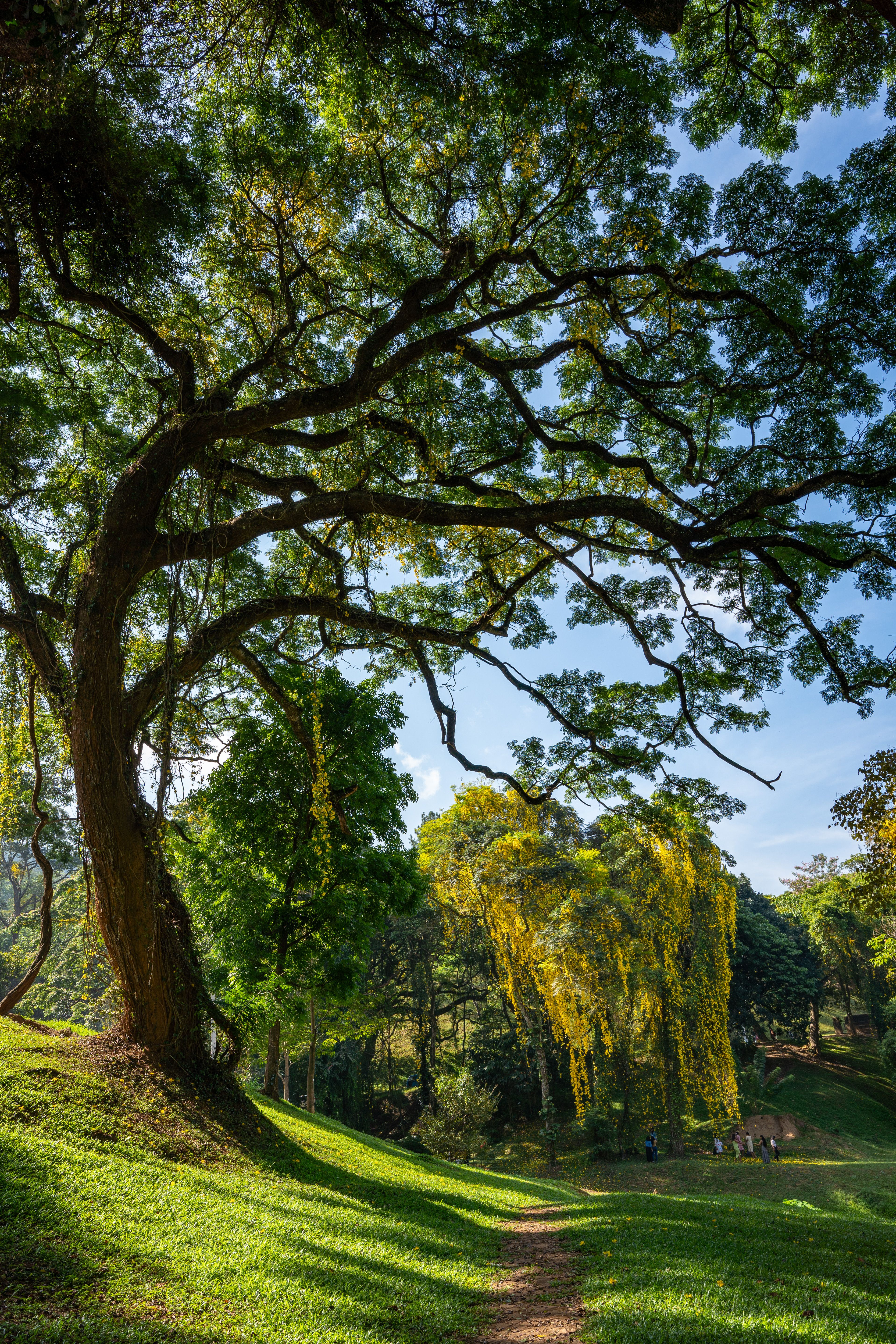 Royal Botanical Gardens