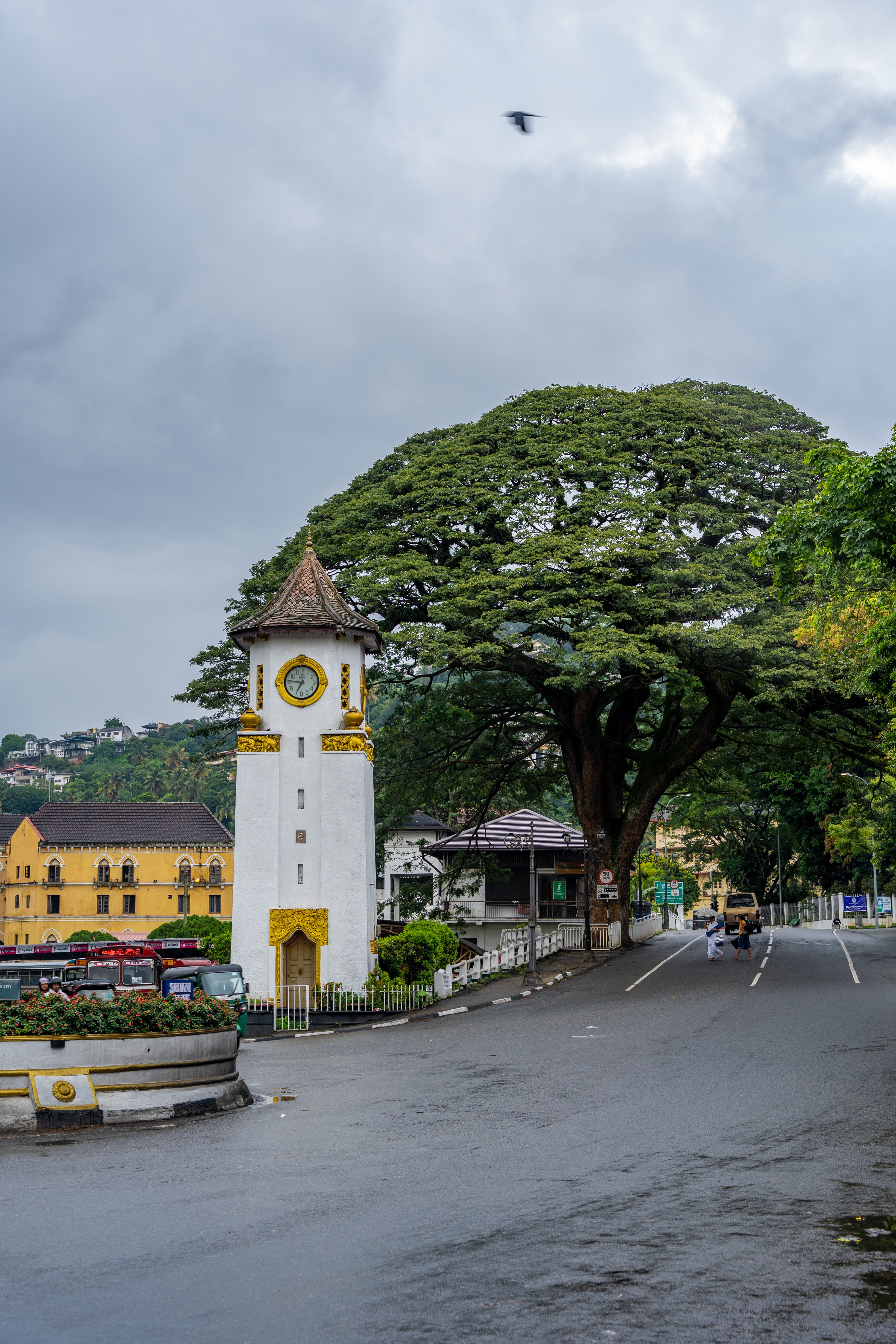 Kandy Local Market Tour