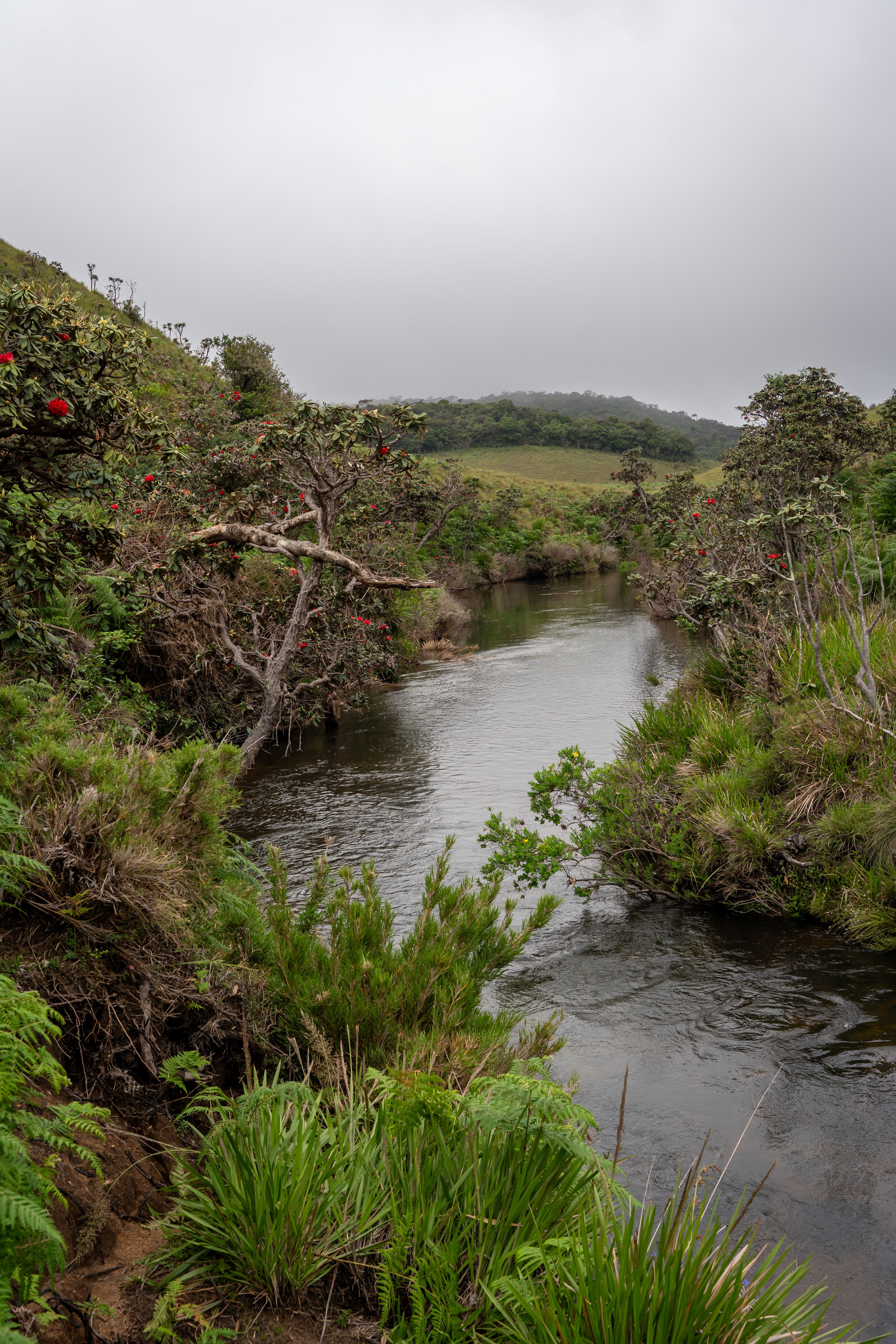 Horton Plains & World's End