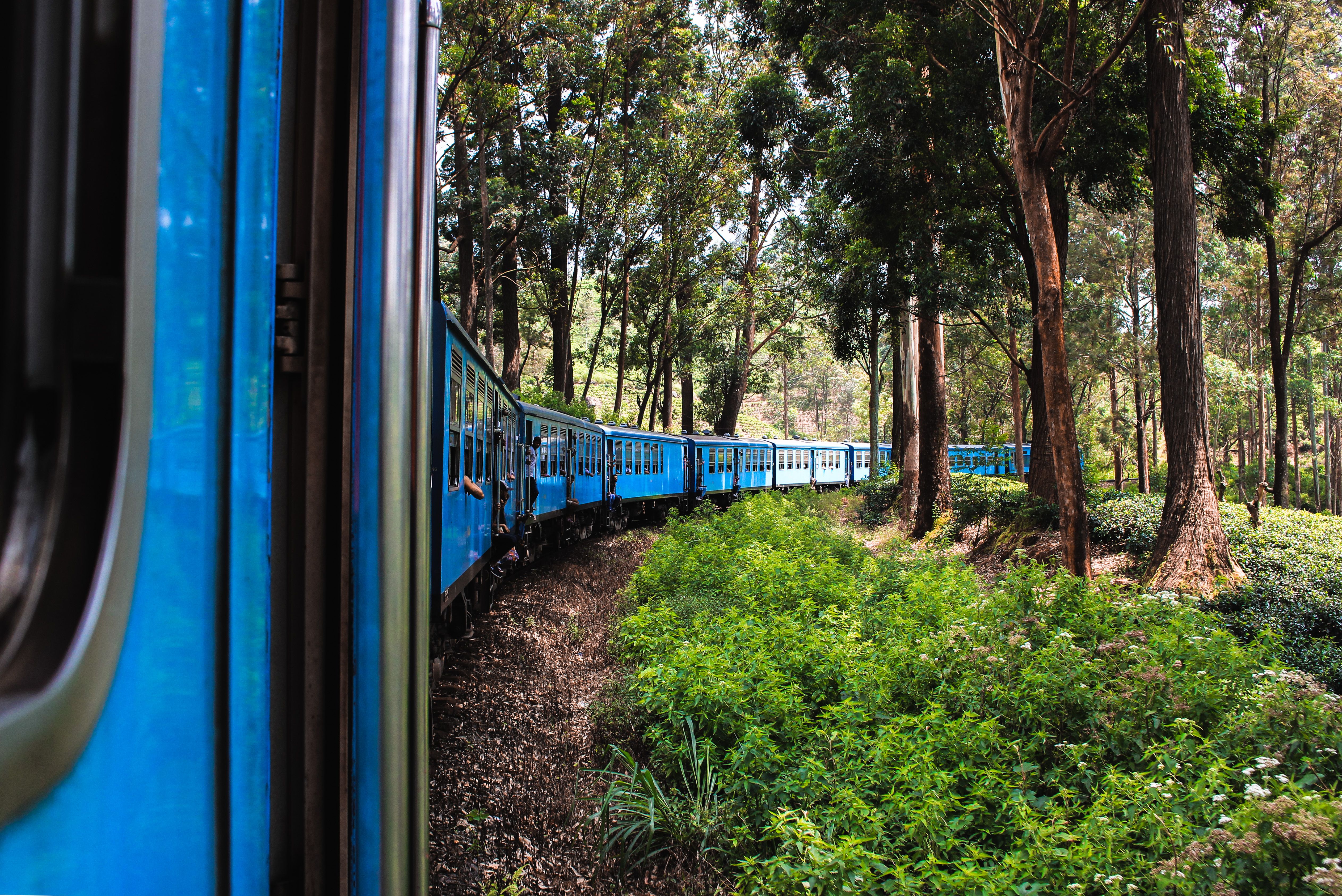 Nanu Oya Scenic Train Journey